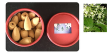 Load image into Gallery viewer, 25Pcs per Box Natural Backflow Buddhist Incense Cones for Incense Burner Home or Office
