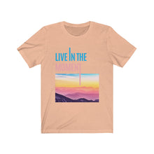 Load image into Gallery viewer, Live In The Moment Vintage T Shirt Heather Peach
