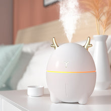 Load image into Gallery viewer, Mini humidifier in living room
